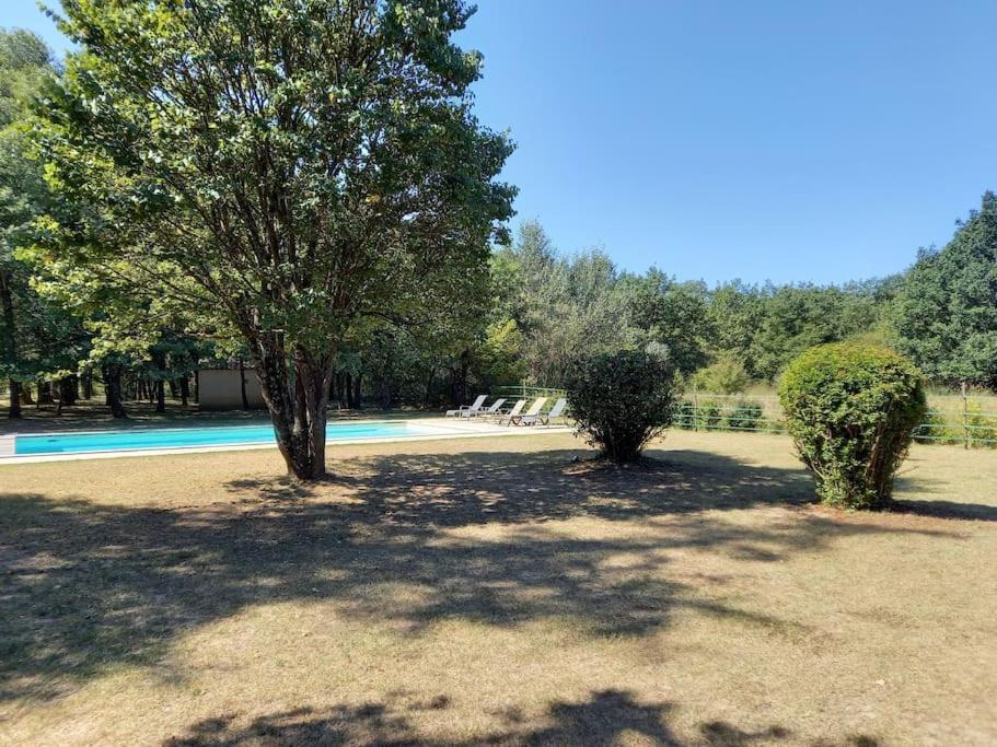 Saint-Martin-de-CastillonMaison Piscine Au Pied Du Luberon别墅 外观 照片